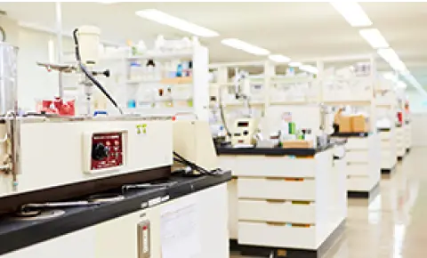 研究部門の様子2